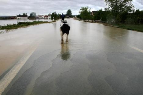 loznica-tanjug.jpg