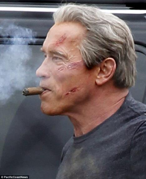 arnold-terminator.jpg