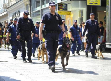 dan-policije-defileknez-mihailova.jpg