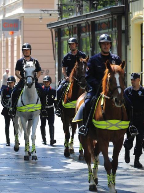 dan-policije-defileknez-mihailova.jpg