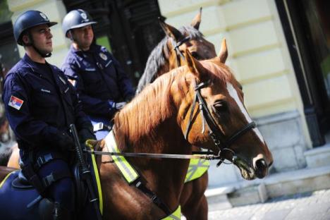 dan-policije-defileknez-mihailova.jpg