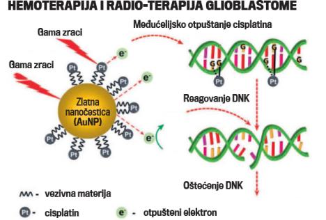 zlatne-cestice-rak-mozak.jpg