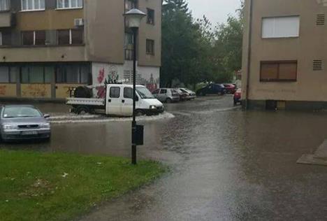 poplave-negotin.jpg