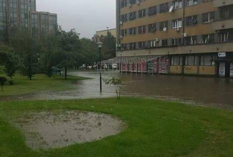 poplave-negotin.jpg