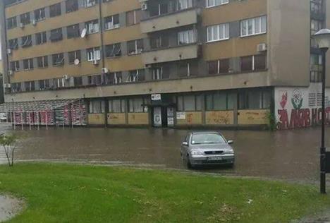 poplave-negotin.jpg