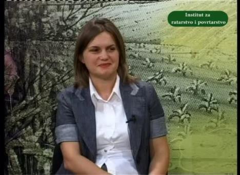 dr-ana-jeromela-marjanovic-o-setvi-uljane-repice-2014.-.jpg