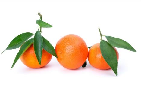 mandarine.jpg