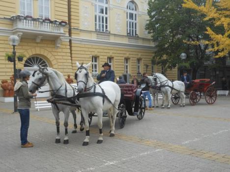 jelene-graorinov-voznja-fijakera-slepa-ucenica-kompjuter.jpg