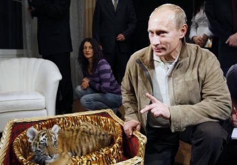 putin-tigar.jpg