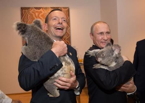 toni-abot-i-vladimir-putin-s-koalama.jpg