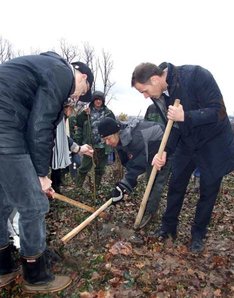 posumljavanje-sinisa-mali.jpg