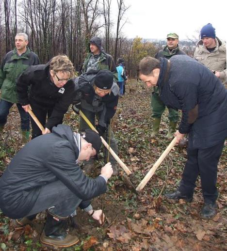 posumljavanje-sinisa-mali.jpg