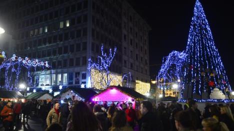 novogodisnja-jelka-osvetljenje-paraznici-beograd.jpg