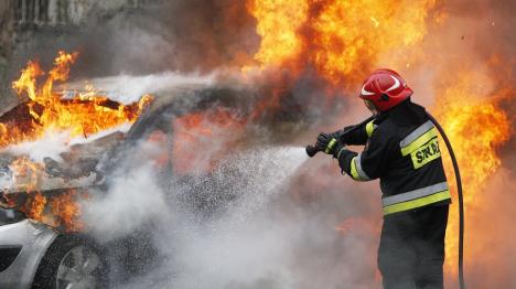 auto-gori-poljska.jpg