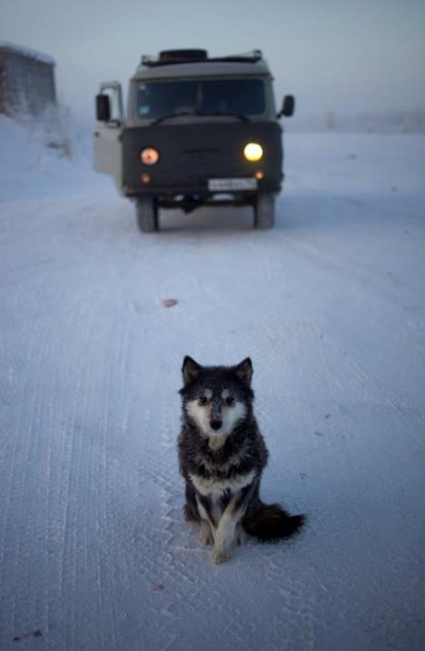 oymyakon-u-rusiji-najhladnije-selo.jpg