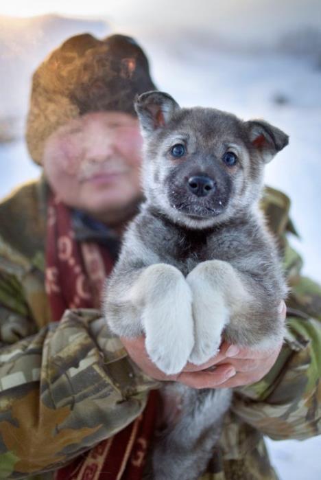 oymyakon-u-rusiji-najhladnije-selo.jpg