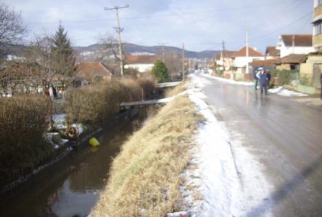 ljubisa-agatonovic-toplica-reka-les-nadjen.jpg