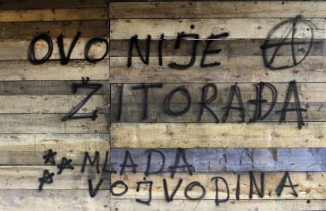 svetlana-ceca-raznatovic-grafiti-novi-sad.jpg