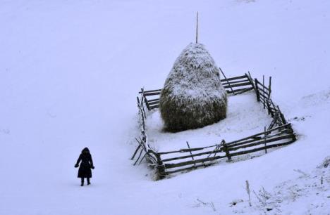 kustendorf.jpg