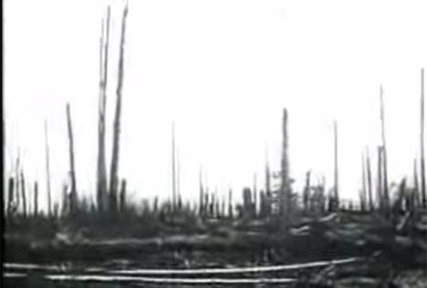 tunguska-eksplozija.jpg