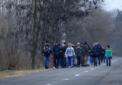 azilanti-kosovo-madjarska.jpg