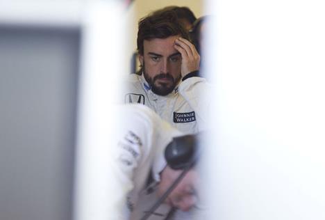 alonso.jpg