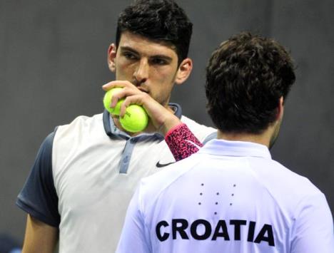 dejvis-kup-djokovic-zimonjic.jpg