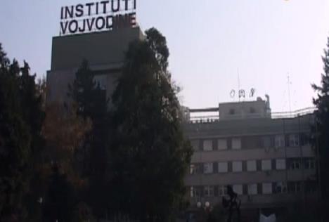 institut-u-sremskoj-kamenici.jpg