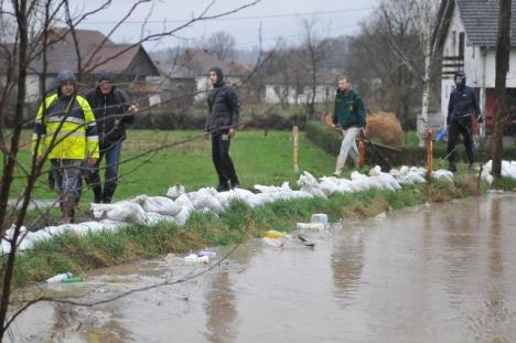 ibar-poplave-kraljevo.jpg