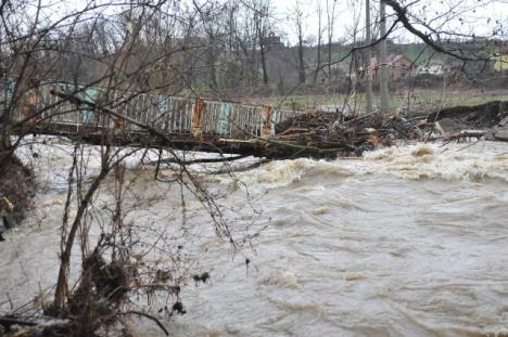 ibar-poplave-kraljevo.jpg