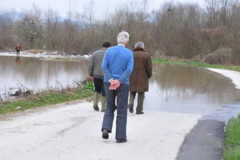 poplave-vodostaj-z.morava.jpg