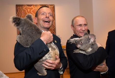 toni-ebot-i-vladimir-putin-s-koalama.jpg