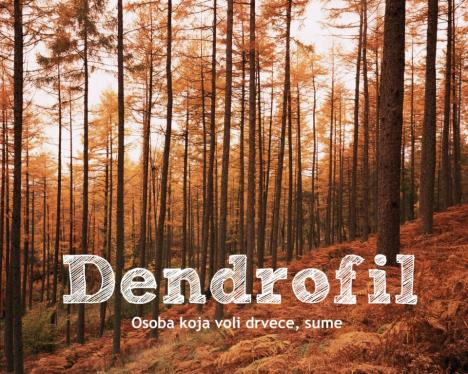 dendrofil.jpg