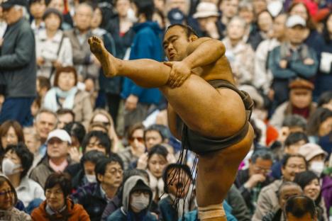 sumo-rvanje.jpg