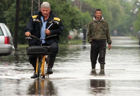 novi-sad-poplava-bujica.jpg