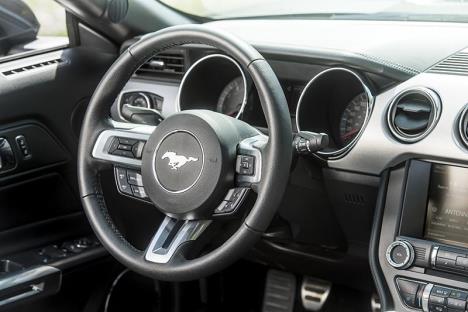 mustang-test-u-minhenu.jpg