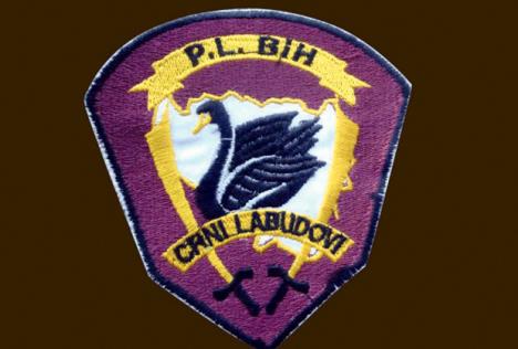 crni-labudovi-logo.jpg