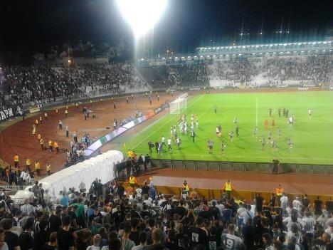 partizan-grobari-dila-gori.jpg