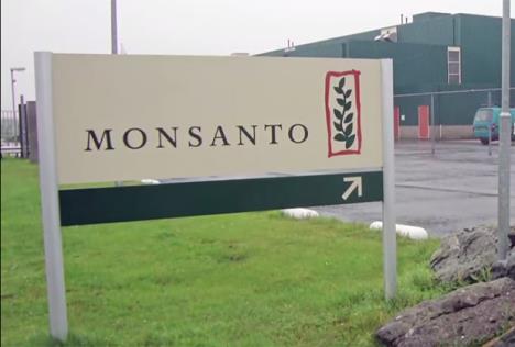 monsanto.jpg