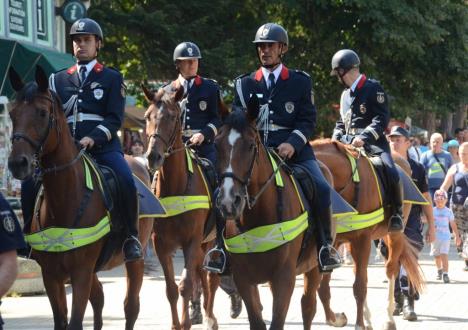 nebojsa-stefanovic-vrnjacka-banja-defile-policije.jpg