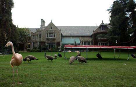 Zoo vrt u sklopu Plejboj vile Hjua Hefnera