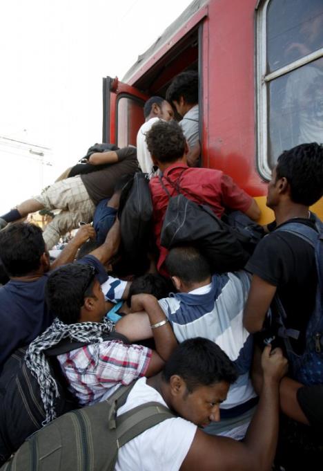 migranti-djevdjelija-zeleznicka-stanica-voz-12.08.2015.jpg