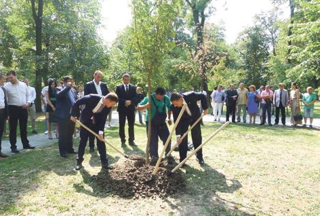 pancevo-prevoz-beograd.jpg