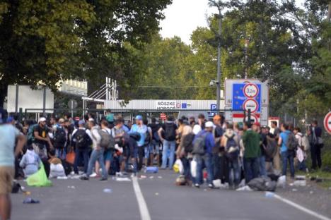 madjarska-granica-srbija-policija-migranti-izbeglice.jpg