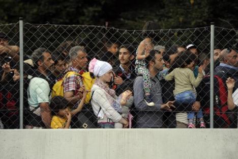 madjarska-granica-srbija-policija-migranti-izbeglice.jpg