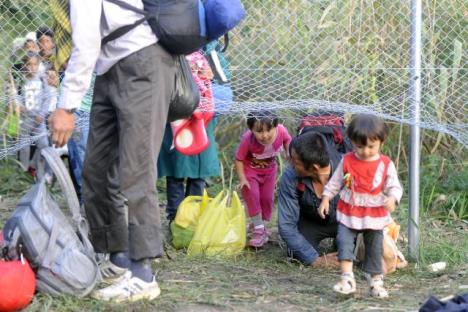 madjarska-granica-srbija-policija-migranti-izbeglice.jpg