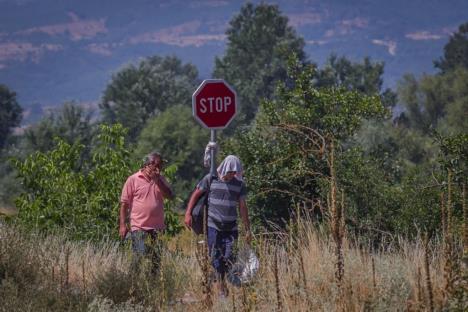 migranti-presevo.jpg