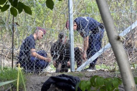 madjarska-policijaograda.jpg