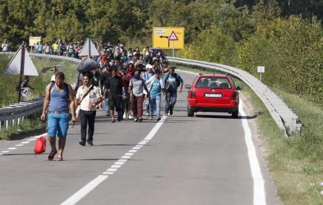 bezdan-hrvatska-granica-migranti.jpg