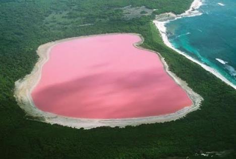 roze-jezero.jpg